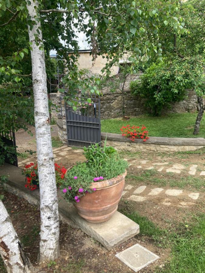 Villa “Da Paolino” Borgo alla Collina Exterior foto