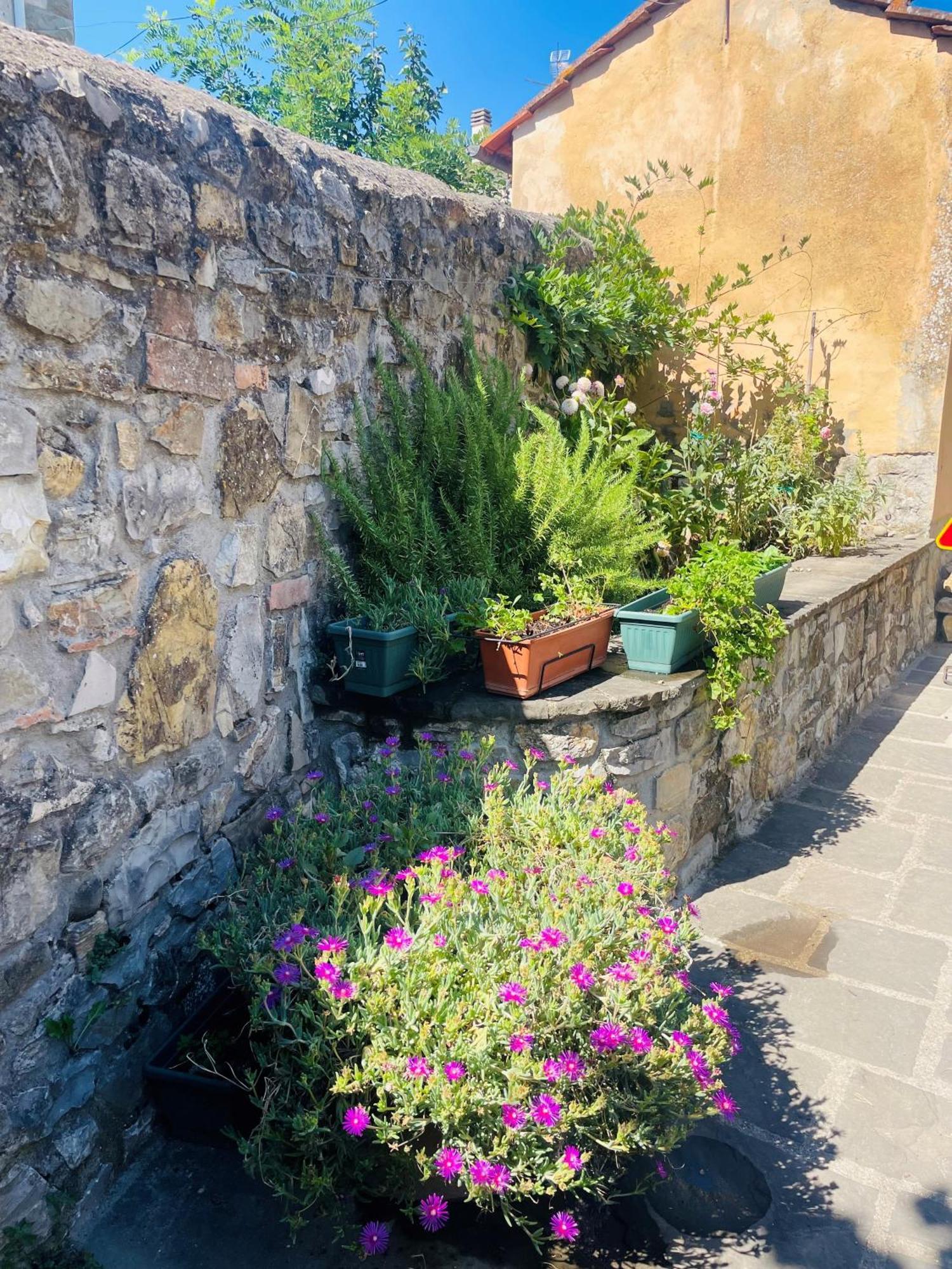 Villa “Da Paolino” Borgo alla Collina Exterior foto